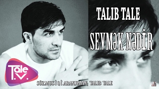 Talıb Tale  Sevmək Nədir [upl. by Yeslehc]