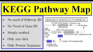 KEGG pathway map in tbtool [upl. by Yarg722]