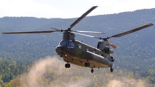 CH147F CH47 Chinook Landing  Worlds Fastest Military Helicopter [upl. by Zaremski857]