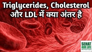 Triglycerides Cholesterol और LDL में क्या अंतर है Difference Between Triglycerides Cholesterol LDL [upl. by Anauqes397]