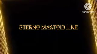 흉쇄유돌근목빗근의 길WAY OF SCM  STERNO MASTOID [upl. by Cormack]