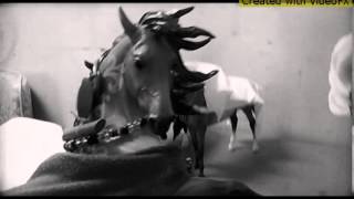 Breyer horse music video hall of fame [upl. by Sadnak556]