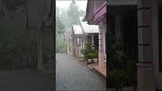 Heavy Rain and Thunderstorms in Beautiful Village Life  Walk in a Thunderstorm in the Afternoon [upl. by Eberto667]