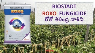 Biostadt Roko Fungicide  రోకో శిలింద్ర నాశిని  Thiophanate methyl 70  WP Roko Fungicide [upl. by Melinde8]