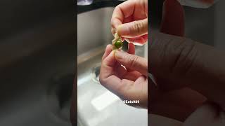 How to eat ground cherries [upl. by Wellington]