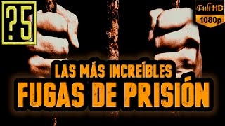 Las 5 Fugas de Prisión más Increíbles y Famosas de la historia [upl. by Minerva]