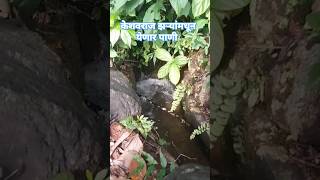 केशवराज झऱ्यामधून येणार पाणी konkan [upl. by Legge]