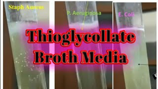 Thioglycollate broth culture media lecture 36 [upl. by Warfield]