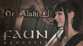 FAUN ACOUSTIC  Ne Aludj El Live Video [upl. by Ueik829]