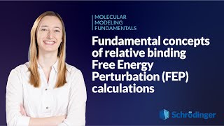 Fundamental concepts of relative binding Free Energy Perturbation FEP calculations [upl. by Kironde]