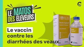 MATOS DES ELEVEURS l Le vaccin contre les diarrhées des veaux [upl. by Lonergan]