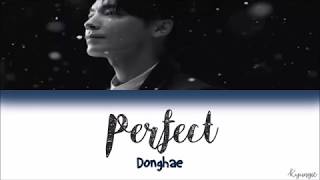 Donghae  PerfectCadillac Lyrics HanRomEng [upl. by Llehcnom157]