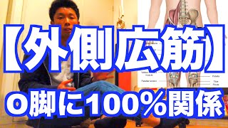 【膝下O脚 治し方】「膝下O脚・XO脚・O脚」に１００％関わる「外側広筋」のケア方法！【太ももの外張り】 [upl. by Acinhoj]