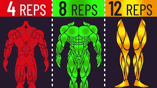 4 vs 8 vs 12 Reps for Strength amp Hypertrophy [upl. by Schuh291]