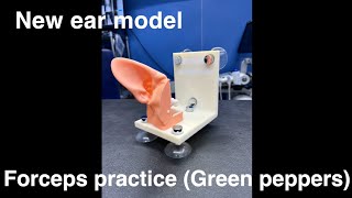 New ear model  Forceps practice Green peppers [upl. by Eceinehs]