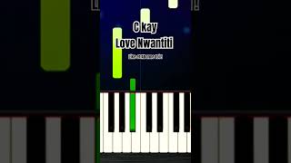 C Kay  Love Nwantiti  Piano lessons Songs piano youtubeshorts pianolessons howtoplay [upl. by Ettenel922]