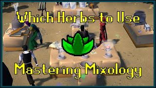 Which Herbs to Use for Mastering Mixology Minigame [upl. by Acim]