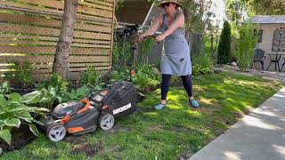 Creating a new GARDEN BORDER  SIMPLE GARDEN EDGING  Zone 5b Toronto Area [upl. by Hama]