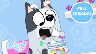 Muffin Moments 💜 ✨  Best Bluey Full Episodes AND Muffin Unboxing  Bluey [upl. by Padriac]