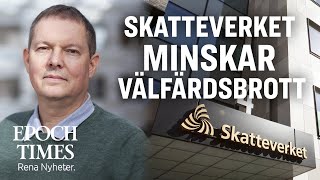 Skatteverkets storstädning minskar välfärdsbrott [upl. by Hazlett759]