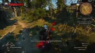 The Witcher 3 sur Pc un armurier peut en cacher un autre Full Ultra  HD [upl. by Naeruat]