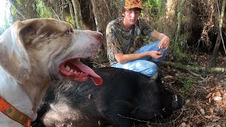 MONSTER PIG Training My Catahoula To Hunt Wild Boar [upl. by Ainslee]