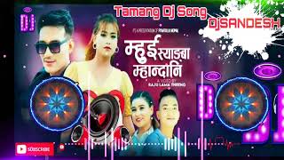 Tamang Dj Remix MhuiSyangbaMandaniKhauMaichyangNgamrinKhauFtRajuLam dj sandesh [upl. by Cocke]