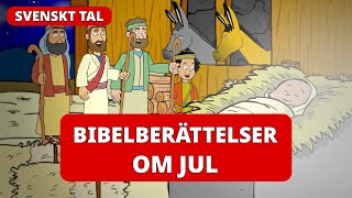 Bibelberättelser om JUL för barn 🎁  Svenskt tal [upl. by Bathelda]