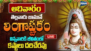 🔴Live  ఆదివారం ఉదయం లింగాష్టకం విన్నవారికి జీవితంలో కష్టాలు రావు  Brahma Murari Surarchita Lingam [upl. by Azile]