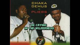 Chaka Demus and Pliers  Help Them Lord lyrics [upl. by Wittenburg]