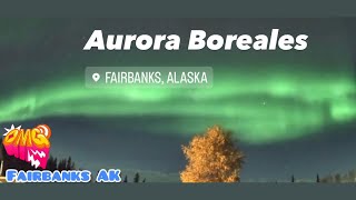 Aurora Boreales Fairbanks Alaska [upl. by Ikairik]