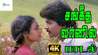 Sangeetha Vanil சங்கீத வானில்  S P Balasubrahmanyam Vani Jairam Love Duet Song [upl. by Imak]