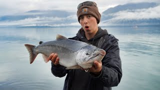 Wild Alaska  Valdez Silver Salmon [upl. by Landri]