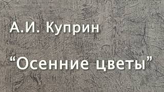 АИ Куприн quotОсенние цветыquot Рассказ Читает Вера Петлина Аудиокнига [upl. by Nations964]