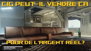 Star Citizen Peut Il SE PASSER de la Vente de Vaisseaux [upl. by Aihsatal]