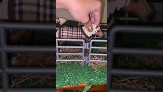 Schleich fall setup part 1 schleichshort [upl. by Eenaej]