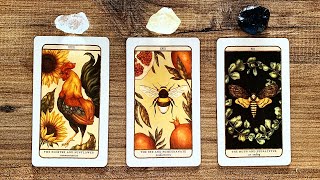 YOUR NEXT CHAPTER WHAT AWAITS YOU🌻🐝✨  Pick a Card Tarot Reading [upl. by Deaner]