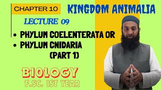 Phylum CoelenterataCnidaria I Chapter 10 I FSc I First Year I biology I Lec 09 [upl. by Aisatana]