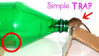 Bottle MouseTrap EASY  Friendly Mouse Trap [upl. by Ihc]