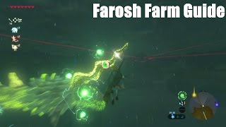 Breath Of The Wild Shard of Faroshs Horn Guide [upl. by Jez]