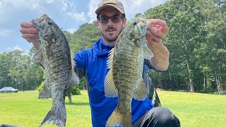 Cherokee Lake Smallmouth Bass Fishing 2023 [upl. by Fidela]