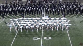 2014  2015 TWHS Highsteppers  Halftime Performance 10312014 [upl. by Geesey]