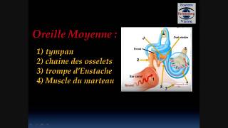 Otite moyenne aigue inflammation de oreille symptômes traitement [upl. by Darrell]