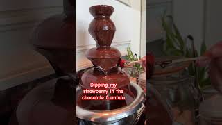 Chocolate Fountain Strawberry [upl. by Tarra]