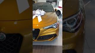 1st 2022 Alfa Romeo Stelvio Quadrifoglio Ocra GT TriCoat Paint shorts [upl. by Alegnatal]