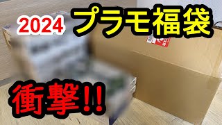 10000円のプラモ福袋を開封したら衝撃的な中身だった【フジミ2024ミリタリー福袋】 [upl. by Applegate218]