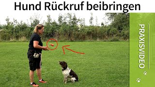 Hund Rückruf ➡️ Vermeide diese 3 Fehler beim Rückruftraining für Hunde ➡️ Praxisvideo ✔️ [upl. by Annoyt]