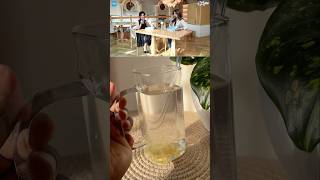 Shilpa Shetty’s fav ginger drink trending celebritychef healthylifestyle healthy celebrity [upl. by Garrott635]