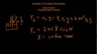 Capillary rise equation [upl. by Aicertap]