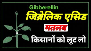 gibberellic acid function in plants।how does gibberellic acid affect plant growth। [upl. by Manson461]